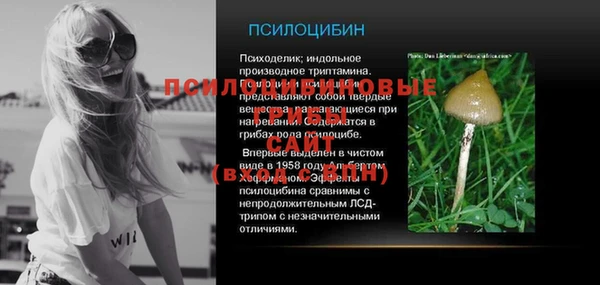 шишки Баксан
