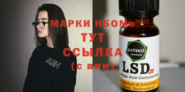 шишки Белоозёрский