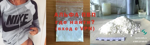шишки Белоозёрский