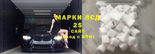 шишки Белоозёрский