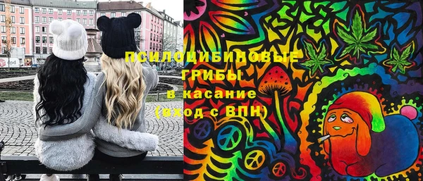 шишки Белоозёрский