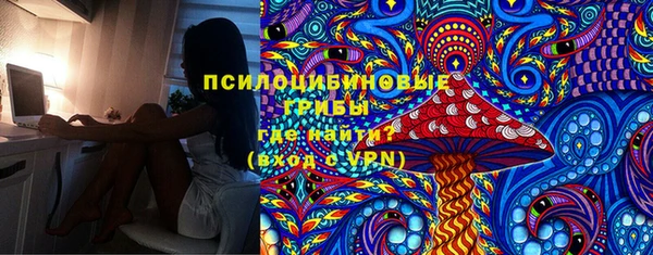 шишки Белоозёрский