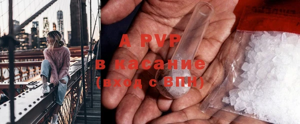 шишки Белоозёрский
