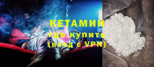 шишки Белоозёрский