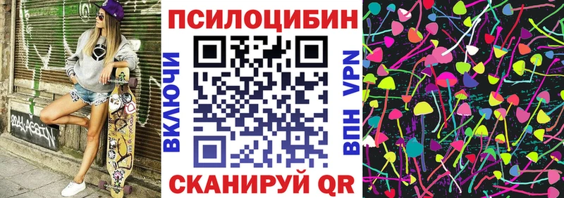 Псилоцибиновые грибы мухоморы  магазин продажи   mega ссылка  Суздаль 